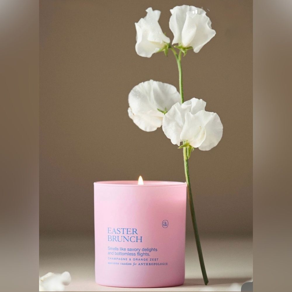 Anthropologie NWT/NIB Easter Brunch Champagne & Orange Zest Boxed Candle